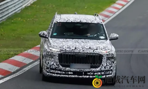 霍希版Q9搅局超豪SUV，这回奥迪来真的了-1