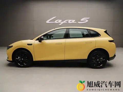 零跑Lafa5预售价公布!共推出5款车型-1