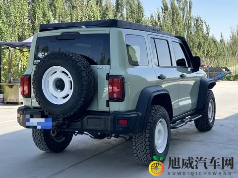 一手准新坦克300铁骑02：圆你硬派越野梦-1