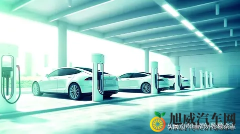 中国新能源车企在 印尼投资的三维风险与突围之道-3