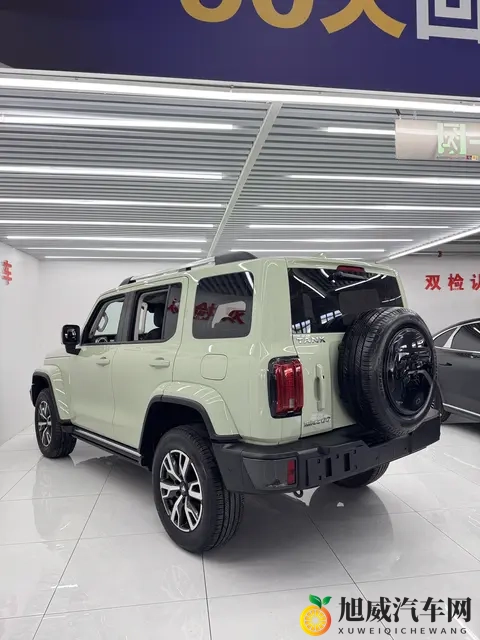 16万多拿下坦克300,圆你硬派越野梦-1