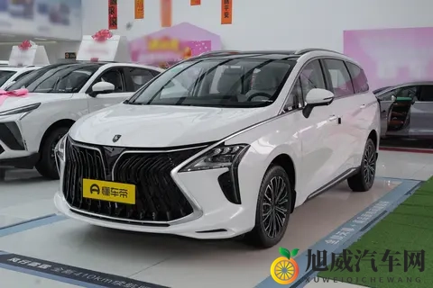 新车|售1549万元起_15T插混中型MPV,东风风行游艇PHEV上市-1