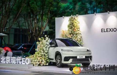 李凤刚转战北京现代：智启2030计划首次由中方主导-3