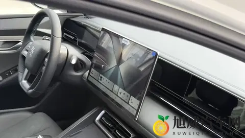 男女差差:性别差异大揭秘-2