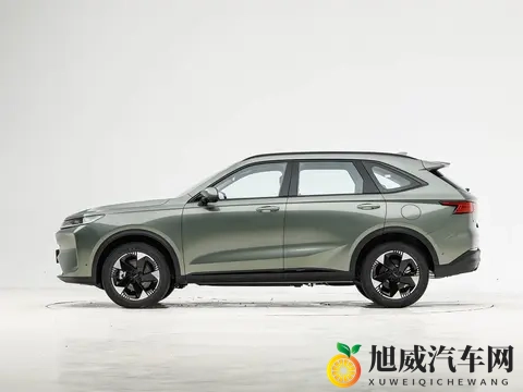 加长版“哈弗H6”亮相！轴距超2米8，定位中型SUV，搭载20T+9DCT-1