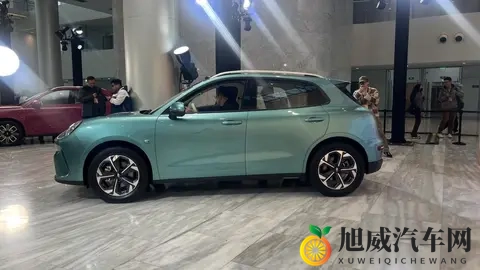 欧拉5预售：1098万元起的“光芒搭子”，能否照亮欧拉品牌的前路-3