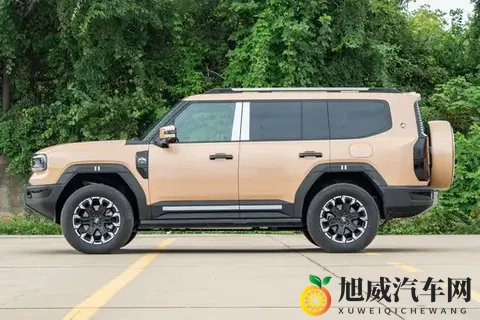 全能豪华SUV，配置拉满，越野城市都能打！-2
