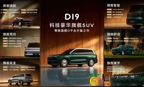 零跑D19，那个让人摸不着头脑的价格谜团？-1