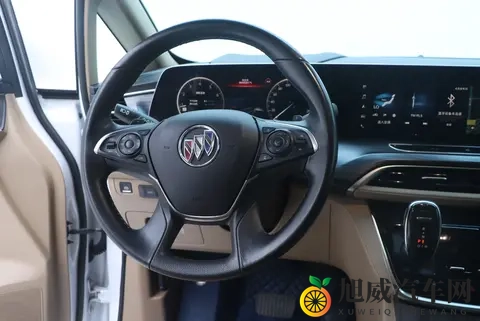 二手别克GL8：2021款陆尊，6万公里，宜商宜家，性价比之选？-3