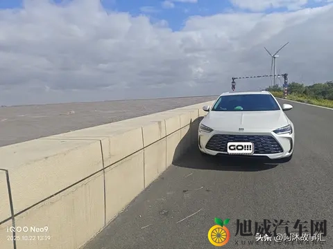 五月停亭六月丁香：汽车市场：静好时光后的活力绽放-2