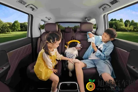 菜农拉货，宝妈带娃，年轻人创业，五菱MPV装下了800万人的生活-3