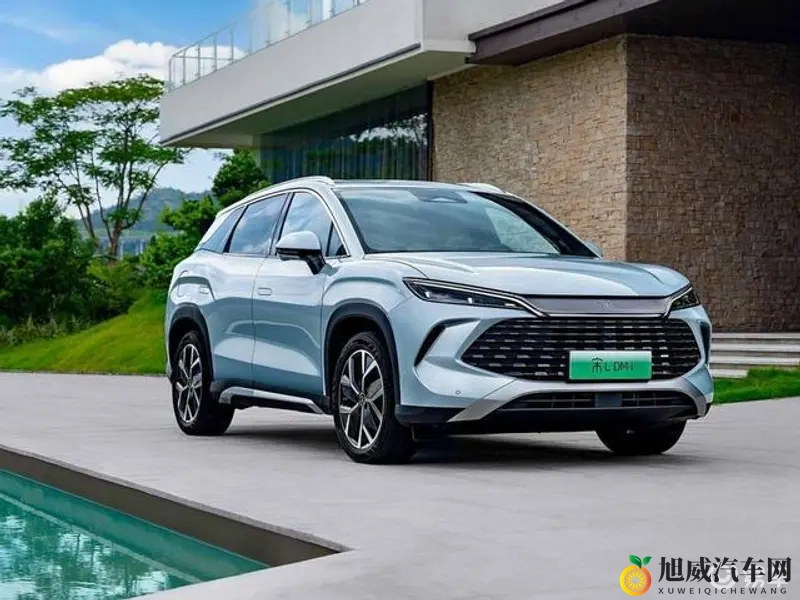 黄色软件2025：2025年揭秘：网络不良软件剖析-1