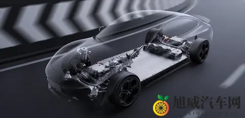 “绿化带战神”背后真相：为何频频冲草坪？专业拆解四大核心原因-3