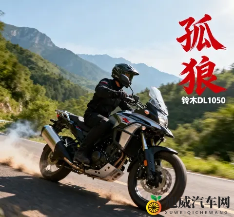 实力不输水鸟 价格少一大截 聊聊铃木DL1050这匹孤狼-1