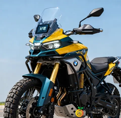 摩托成精了 无极DS900X杀疯 进隧道自开灯 5万2带宝马芯全套摩旅装备-3