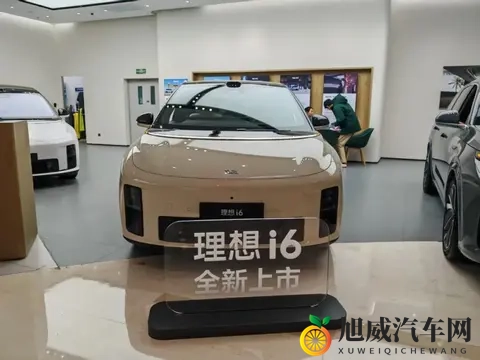 销量、产能、竞品、舆情，理想汽车陷入“四面楚歌”-1