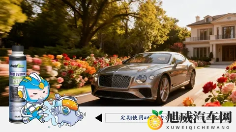 冷启动直接踩油门？北方车主注意！-2