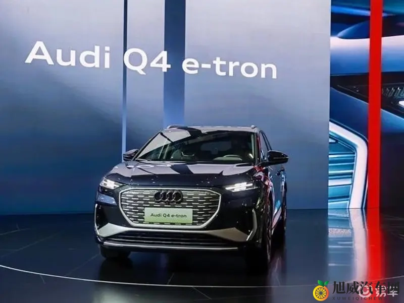 天天拍天天舔：日夜追捧，热情追随-1