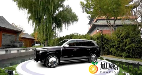 华系旗舰尽显文化自信,岚图泰山诠释豪华真谛-2