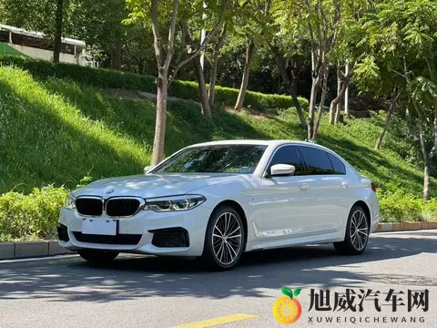 几个油钱就能圆梦？20款宝马530Li，通勤代步好选择-3