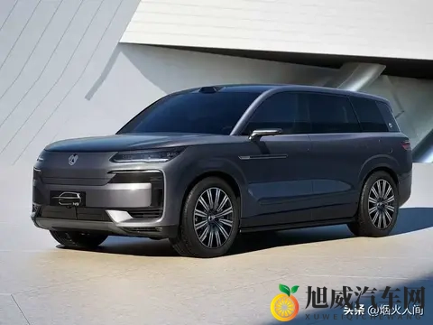 陈冠希阿娇13分49秒：明星助力环保，新能源汽车未来趋势揭秘-2