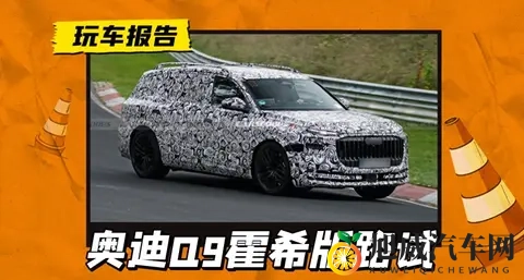 霍希版Q9搅局超豪SUV，这回奥迪来真的了-2