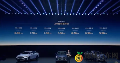 入门60公里纯电续航，星耀6看似鸡肋，但一口价688万起是大招-2