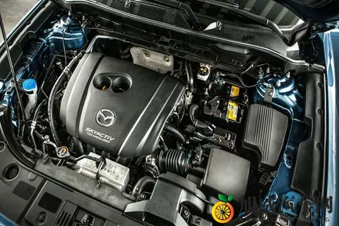 99这里有精品：探寻99佳品，尽在精彩汇聚地-3