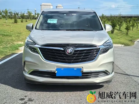 一级爱爱：汽车引擎极致表现：揭秘高性能动力奥秘-3