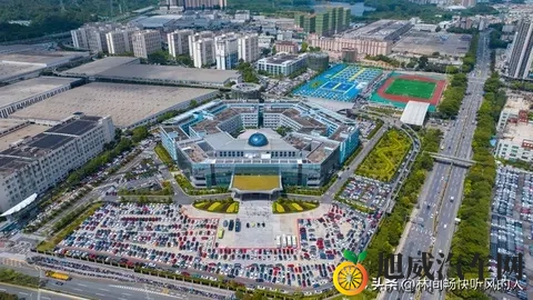 新能源车购置税减半:助力绿色出行的利好政策-1