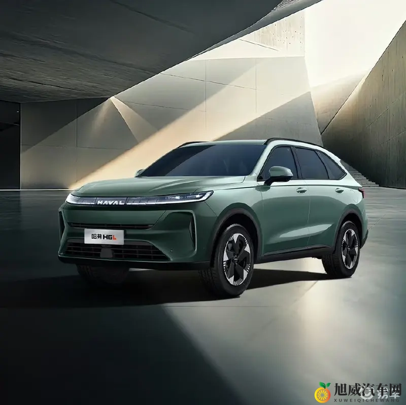 浪小辉酒店杭州民宿p4：新能源汽车崛起，智能驾驶革新未来出行-1