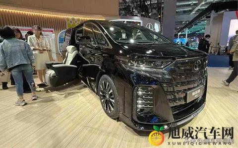 轮椅能开进车里，140万值不值？有钱人也得为尊严买单！-2