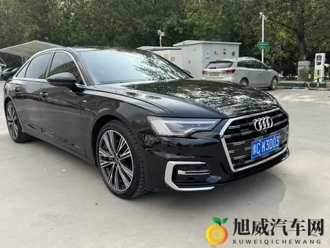 成人av影视:智能驾驶:未来出行新风向标-2