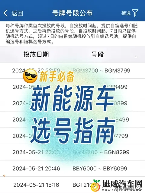 特斯拉新车主选号指南 🈯️ 新手必备-1