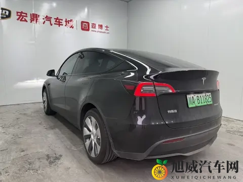 好 色 先 生tv：新能源汽车盛宴，智能驾驶新纪元-3