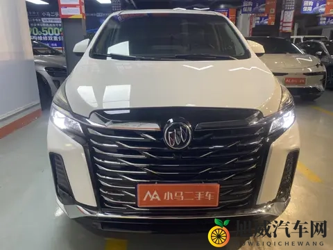 奴役 支配 性狂虐 电击 极端：汽车产业黑幕：速度背后的人性拷问-2