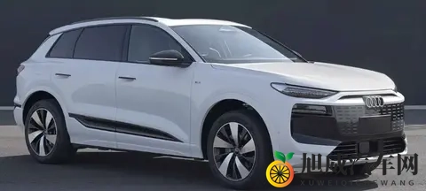 奥迪Q6L e-tron_Q6L Sportback e-tron申报信息公示 电机有所升级-2