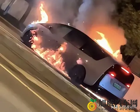 磷酸铁锂与三元锂孰优孰劣?用户选购新能源车应看清楚电池类型!-2