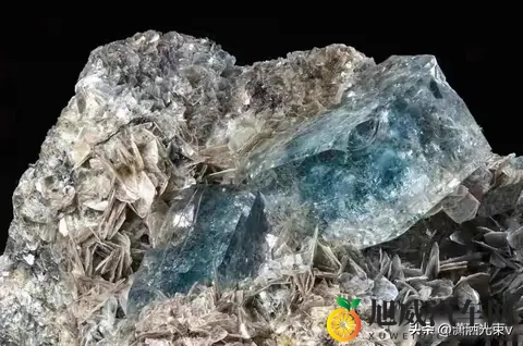 方程豹要推“镁”车，命名太硬核，品牌能扛住吗-1