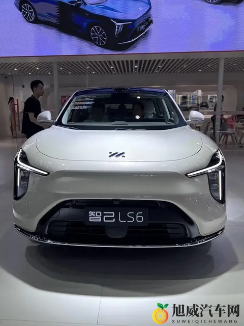 智己LS6车主：大电池长续航带后轮转向，这车性价比是真的高-2