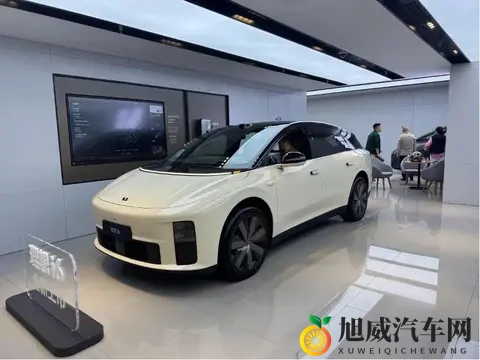 电厂  购置税变天之前，汽车公司“撒钱买量”-3