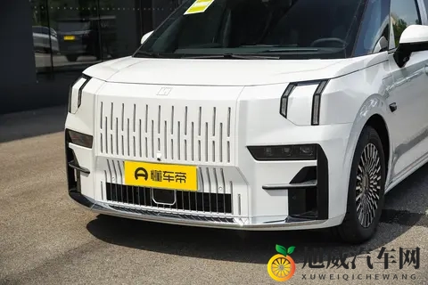 年末入手正当时？极氪009推出多重权益，这款纯电MPV值得一看-3