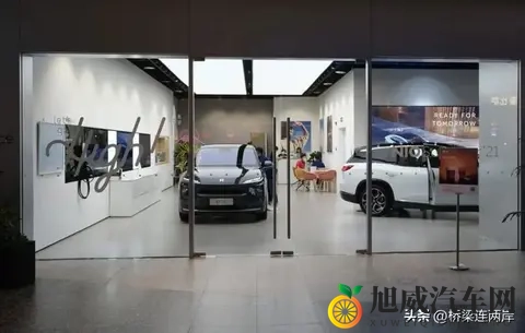 中国车欧洲斩获74%份额，为何德国市场仅29%？-2