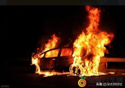 电车保费比油车贵3成？背后真相终于说透了-1