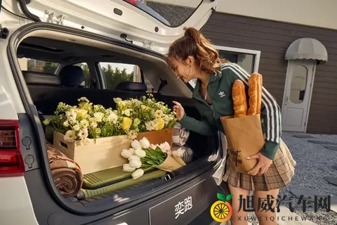 不到65万买合资SUV，2026款起亚奕跑是否值得考虑？-3