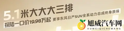 换壳QX60，日产探陆还有些性价比-1