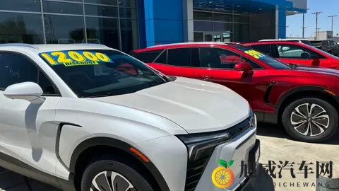 10月，美国电动车销量暴跌43%-3