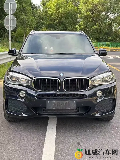 2018款宝马X5：30T+8AT，9万公里，豪华依旧，奶爸之选-1