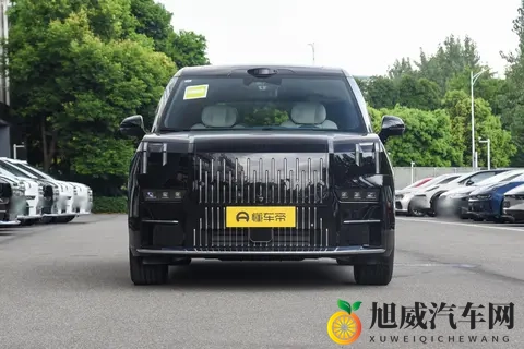 极氪009：原来MPV不只是谈生意用的！11月限时购车更合适-3