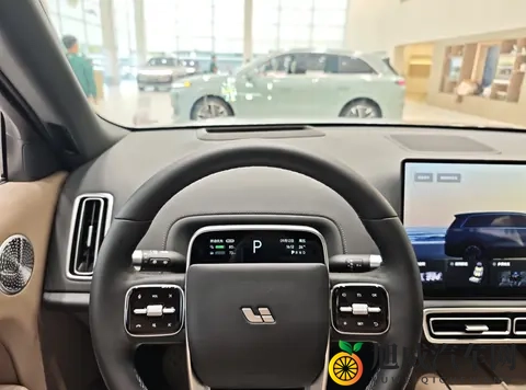 新式豪华还是营销噱头？理想L9的“冰箱彩电大沙发”策略深度解析-2